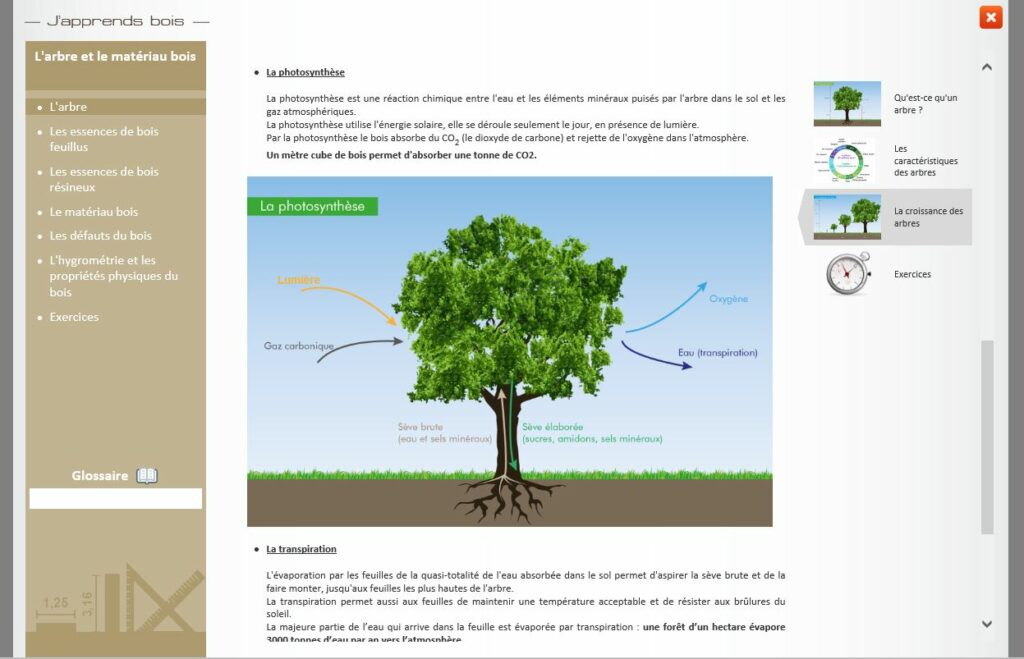 j-apprends-bois-exelys