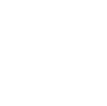 Vinci Construction